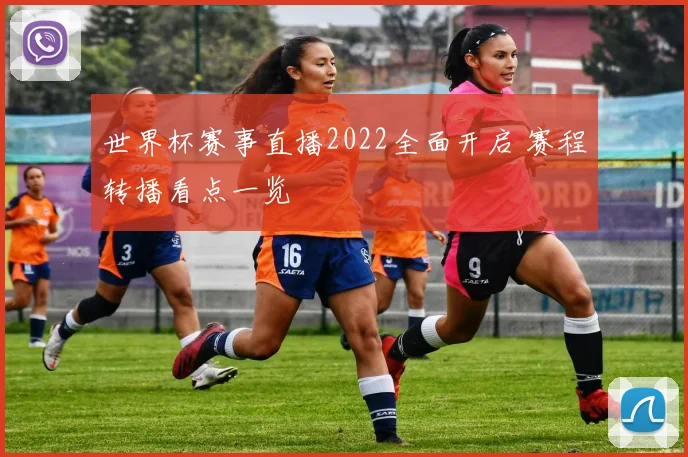 世界杯赛事直播2022全面开启 赛程转播看点一览