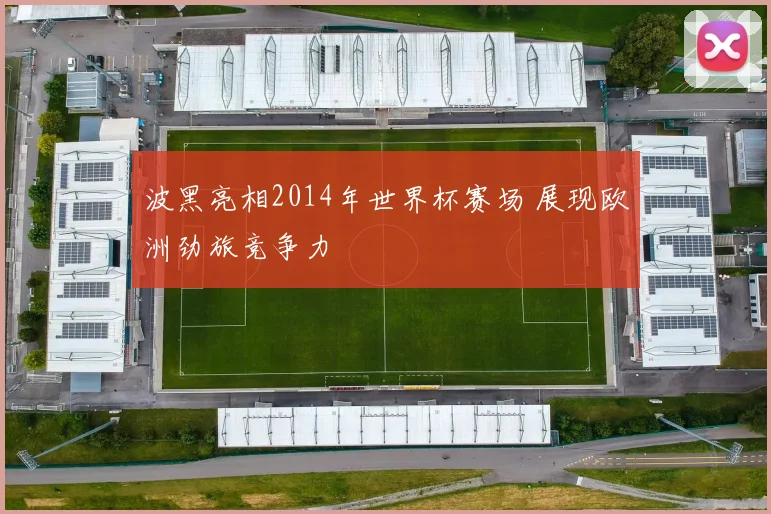 波黑亮相2014年世界杯赛场 展现欧洲劲旅竞争力
